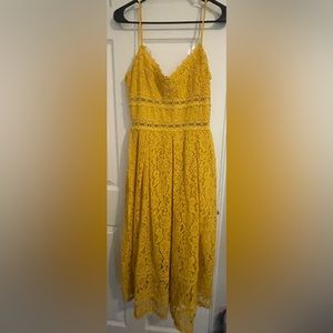 NSR NWT Dress